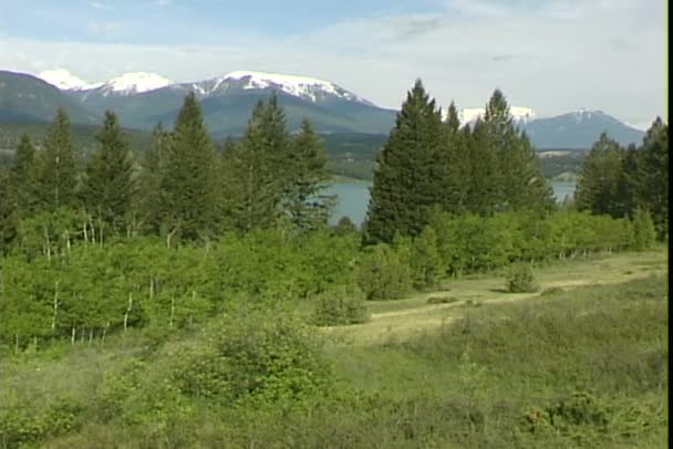 Utsikt över Invermere Lakeshore — Stockvideo