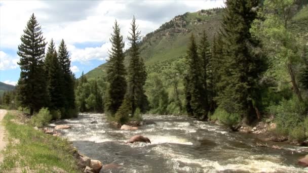 Arkansas flod fjällbäck — Stockvideo