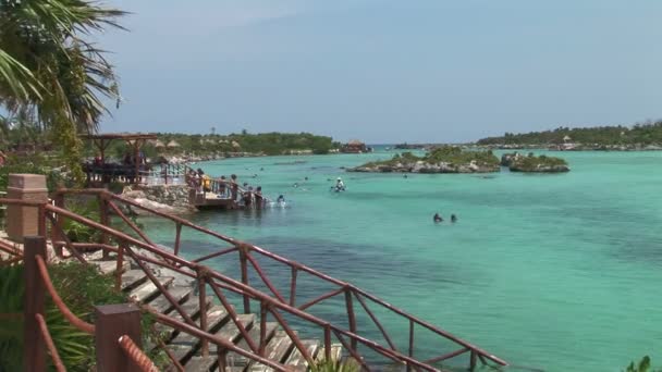 Xel Ha Cove en México — Vídeos de Stock