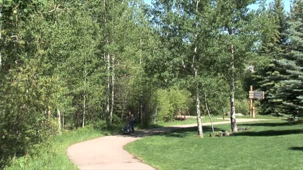 Park lekplats i Beaver Creek — Stockvideo