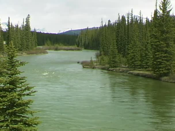 Il fiume Bow a Banff — Video Stock