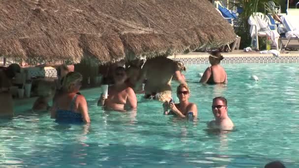 Persone al bar della piscina a Cancun — Video Stock