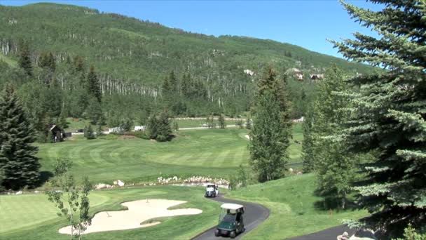 Chariot de golf sur terrain de golf — Video