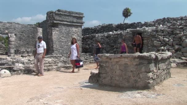 Los turistas visitan las ruinas del templo de Tulum — Vídeo de stock