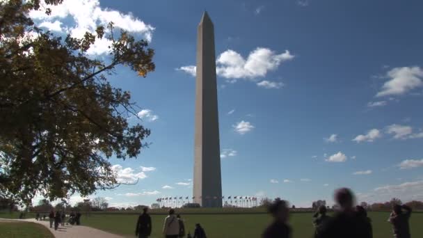 Washington-Denkmal bei Tag — Stockvideo