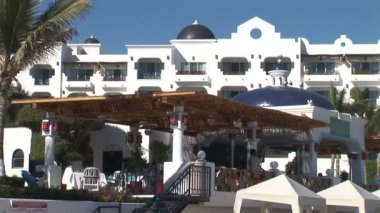 Cabo çöl bitkileri 