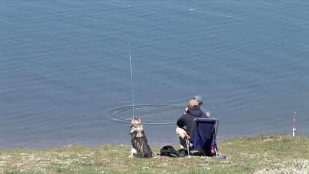 Ψαράς στη λίμνη σε ηλιόλουστη μέρα — Αρχείο Βίντεο