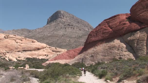 Toeristen in rotsachtige woestijn — Stockvideo