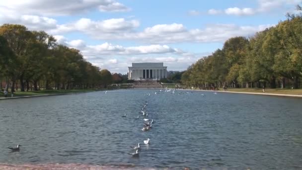 Lincoln denkmal mit pool in washington d.c — Stockvideo