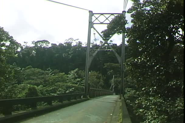 在巴西丛林汽车桥 — 图库视频影像