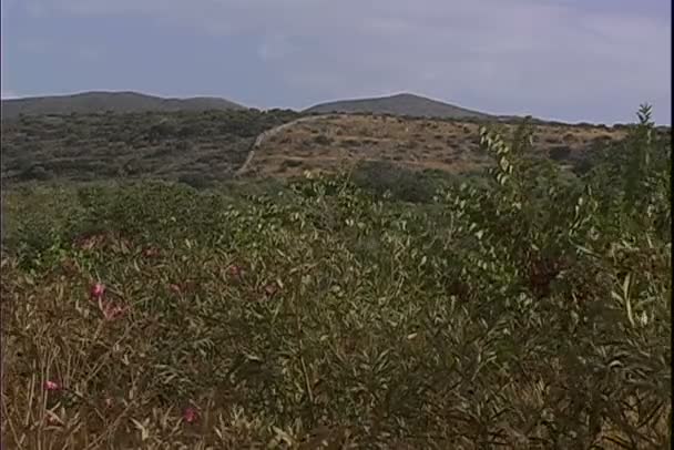 Στον αυτοκινητόδρομο στο νησί της Κρήτης — Αρχείο Βίντεο