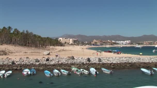 Μια μαρίνα στο Cabo San Lucas — Αρχείο Βίντεο