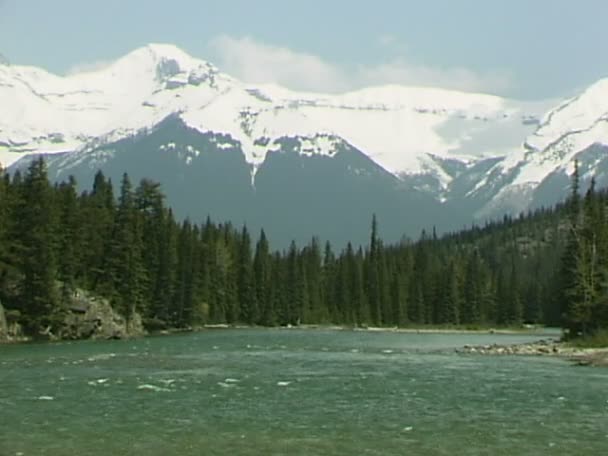 Banff içinde Bow Nehri — Stok video