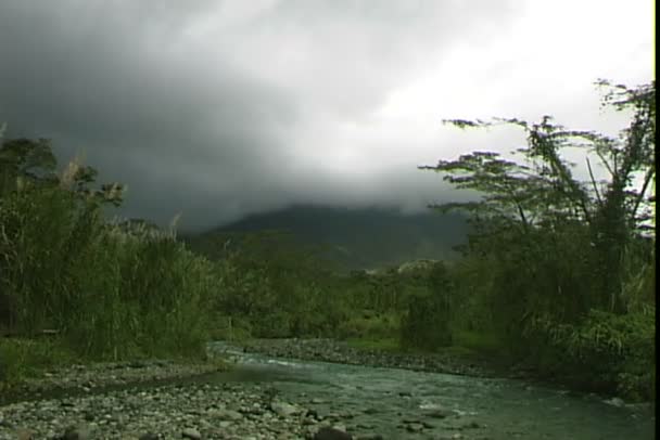 Stream góry w rainforest — Wideo stockowe