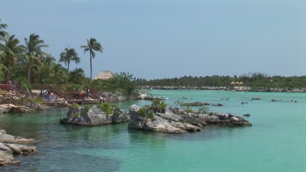 Xel Ha Shore in Messico — Video Stock