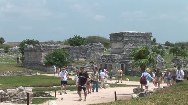 Turister besöker Tulum tempelruinerna — Stockvideo