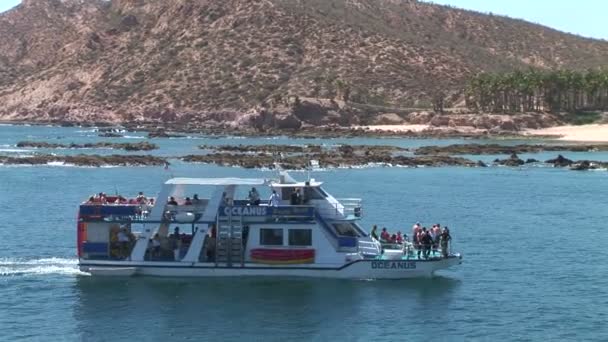 Färja med turister i Cabo San Lucas city — Stockvideo