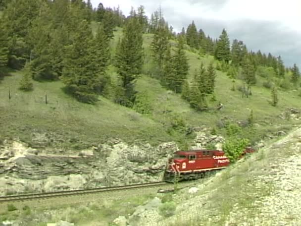 Pociąg w Canadian Rockies — Wideo stockowe