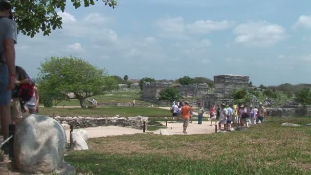 Τουρίστες επισκέπτονται τα ερείπια ναού του Tulum — Αρχείο Βίντεο