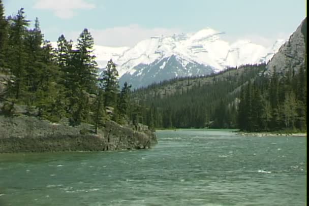 Bow řeka v Banff — Stock video