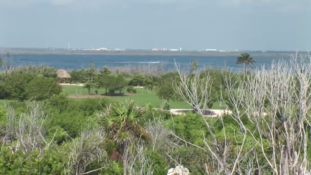 Campo de golfe perto do oceano — Vídeo de Stock