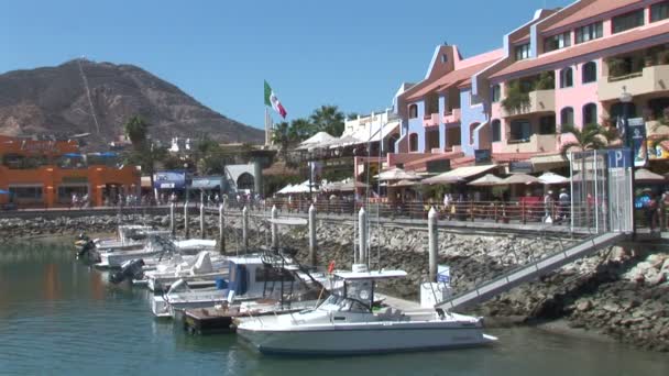 Marina på Cabo San Lucas — Stockvideo