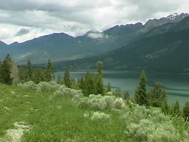 Columbia Lakeside in Canada — Stock Video