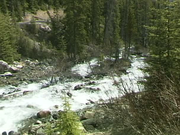 Ruisseau de cascade en bordure de route — Video