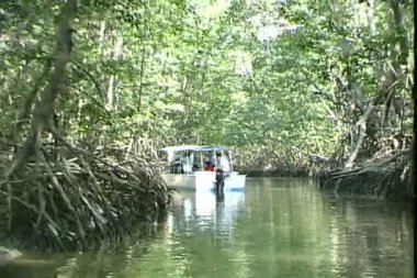 Denizde yelkenli tekne  