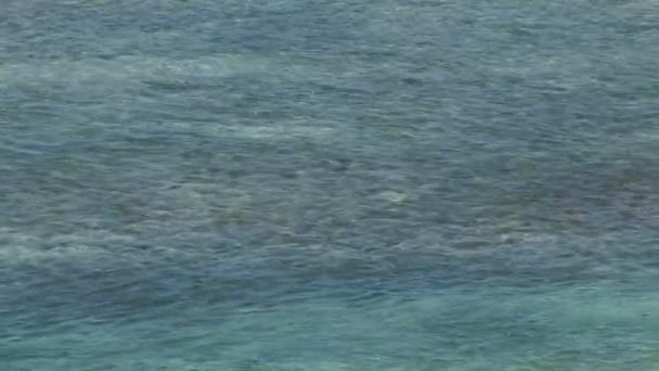 カリブ海の海の波 — ストック動画