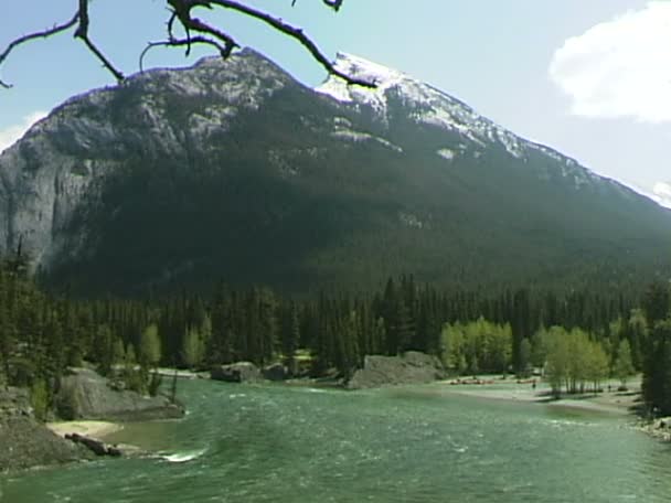 Il fiume Bow a Banff — Video Stock