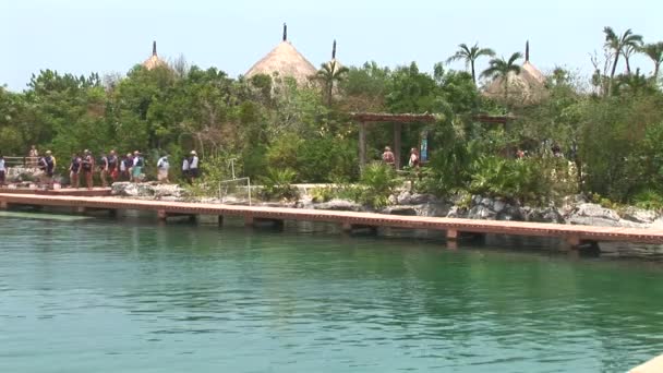 Laguna dei Delfini Xel Ha con Passerella — Video Stock