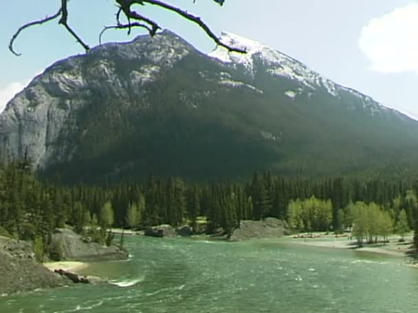 De rivier Bow in Banff — Stockvideo