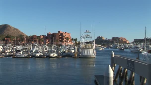 Een jachthaven van Cabo San Lucas — Stockvideo