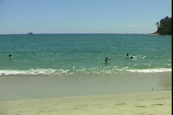 Manuel antonio strand in costa rica — Stockvideo