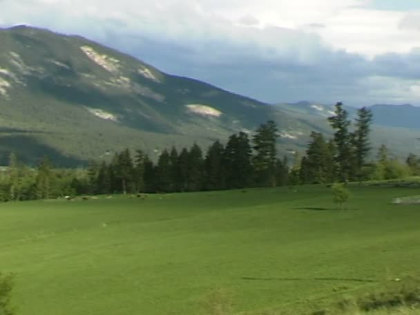 Вид на ранчо в Канаде — стоковое видео