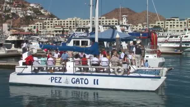 Catamaran i Los Cabos – stockvideo