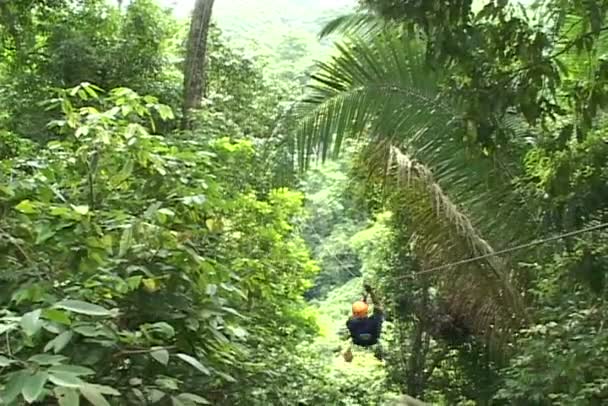 Homme chevauchant sur la corde dans la forêt — Video