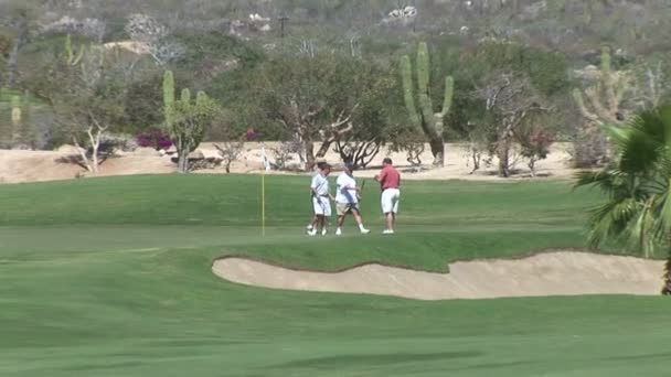 멕시코에서 카보 Golfcourse — 비디오