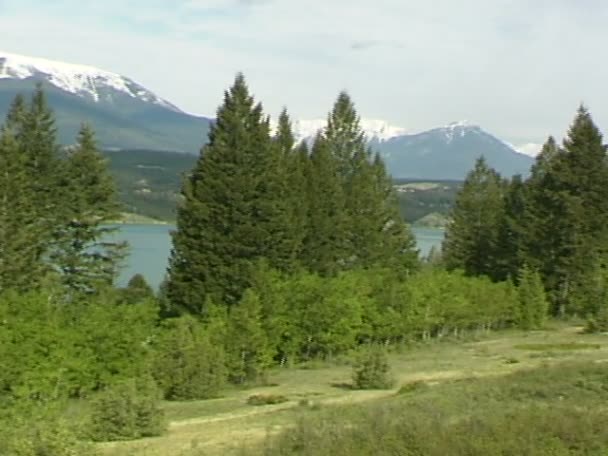 View of Invermere Lakeshore — Stock Video