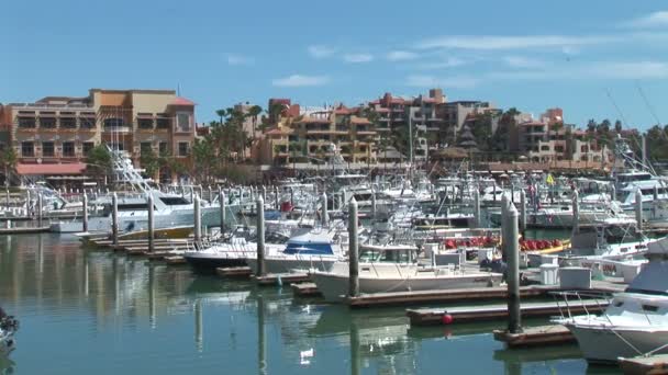Un puerto deportivo en Cabo San Lucas — Vídeos de Stock