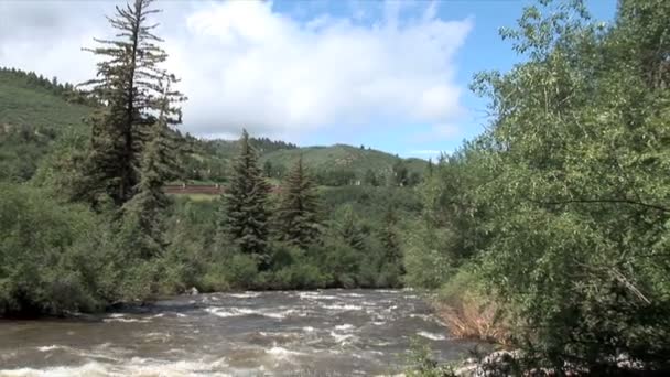 Beaver creek mountain river — Stock videók