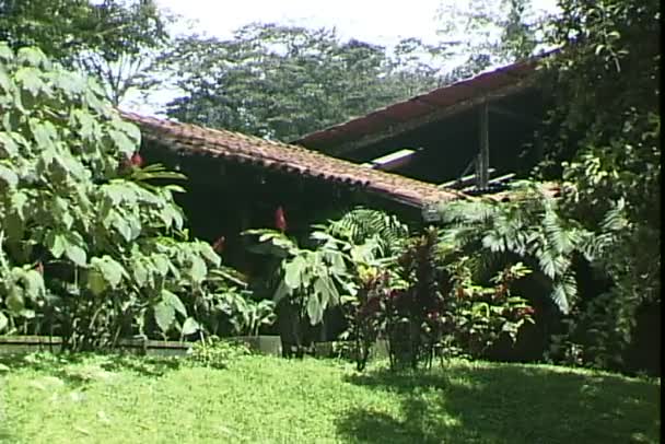 Lodge en bosque tropical — Vídeo de stock