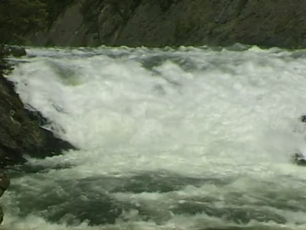 Rivière Bow avec eau vive — Video