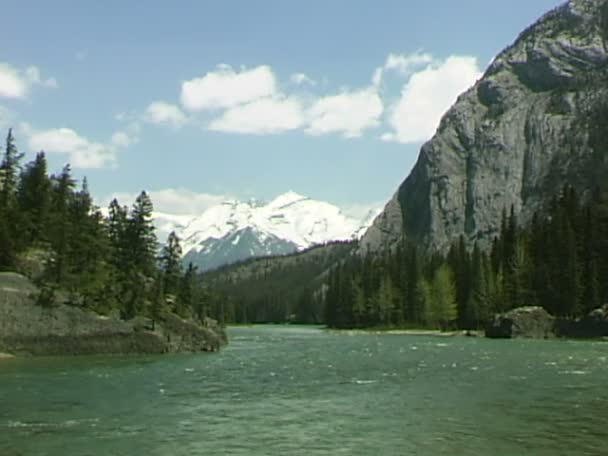 The Bow River in Banff — Stock Video