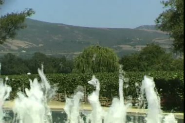 Napa üzüm bağları çeşme