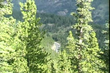 Rockies Park Pines ile