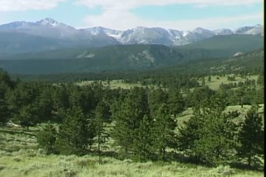 Rockies Park çayır 