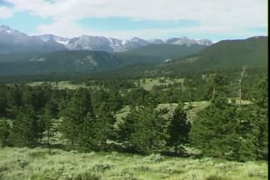 Rockies Park çayır 