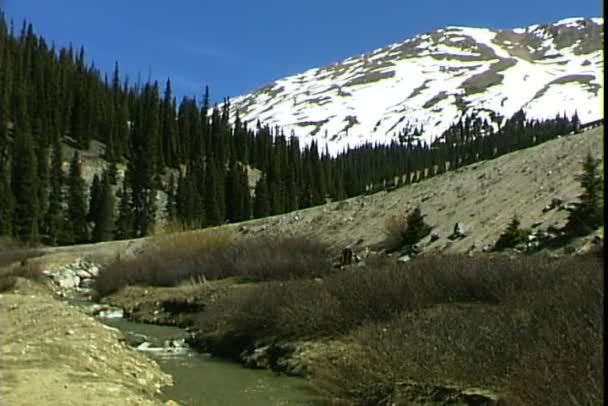 Rivière montagne ruisseau — Video